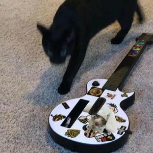 黑鬼大战日本少妇
